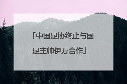 中国足协终止与国足主帅伊万合作