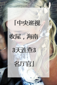 中央巡视收尾，海南3天连查3名厅官