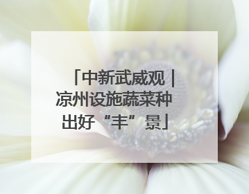 中新武威观｜凉州设施蔬菜种出好“丰”景