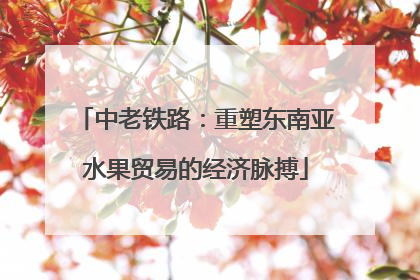 中老铁路：重塑东南亚水果贸易的经济脉搏