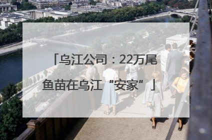 乌江公司：22万尾鱼苗在乌江“安家”