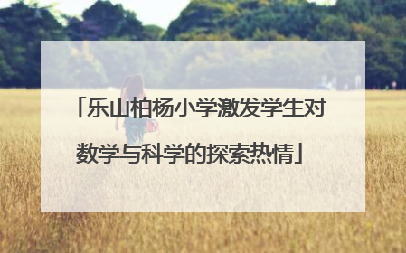 乐山柏杨小学激发学生对数学与科学的探索热情