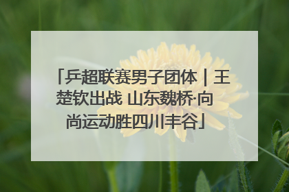 乒超联赛男子团体｜王楚钦出战 山东魏桥·向尚运动胜四川丰谷