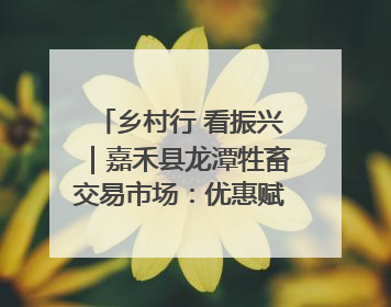 乡村行 看振兴｜嘉禾县龙潭牲畜交易市场：优惠赋能促交易 乡村振兴添动能
