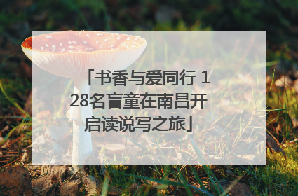 书香与爱同行 128名盲童在南昌开启读说写之旅