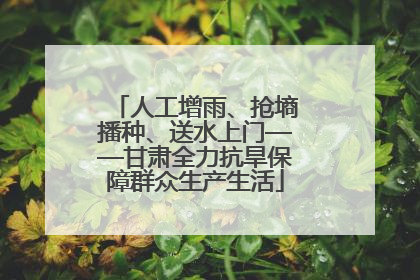 人工增雨、抢墒播种、送水上门——甘肃全力抗旱保障群众生产生活