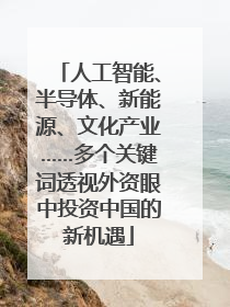 人工智能、半导体、新能源、文化产业……多个关键词透视外资眼中投资中国的新机遇