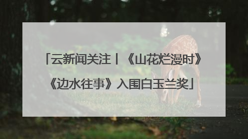 云新闻关注丨《山花烂漫时》《边水往事》入围白玉兰奖
