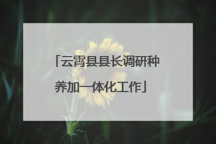 云霄县县长调研种养加一体化工作