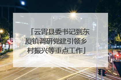 云霄县委书记到东厦镇调研党建引领乡村振兴等重点工作