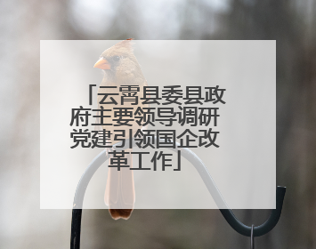 云霄县委县政府主要领导调研党建引领国企改革工作