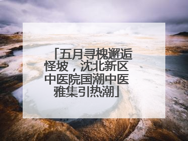 五月寻槐邂逅怪坡，沈北新区中医院国潮中医雅集引热潮