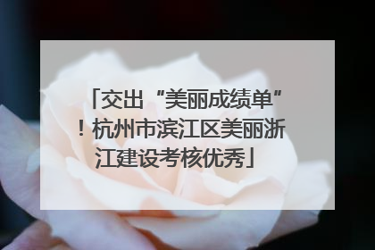 交出“美丽成绩单”！杭州市滨江区美丽浙江建设考核优秀