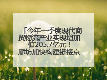 今年一季度现代商贸物流产业实现增加值205.7亿元！廊坊加快构建链接京津冀面向全世界的物流通道