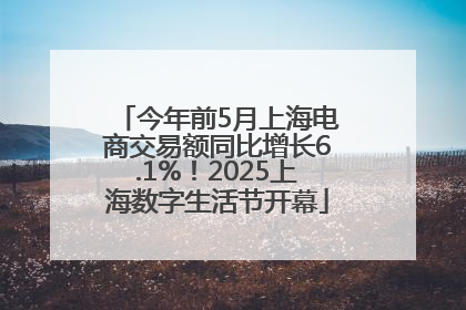 今年前5月上海电商交易额同比增长6.1%！2025上海数字生活节开幕