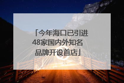 今年海口已引进48家国内外知名品牌开设首店