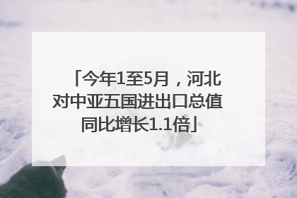 今年1至5月，河北对中亚五国进出口总值同比增长1.1倍
