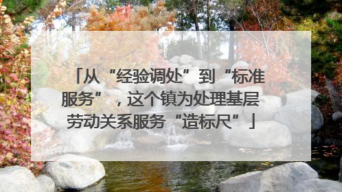 从“经验调处”到“标准服务”，这个镇为处理基层劳动关系服务“造标尺”