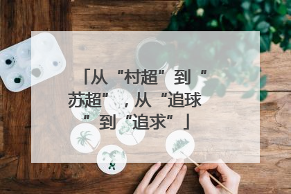 从“村超”到“苏超”，从“追球”到“追求”
