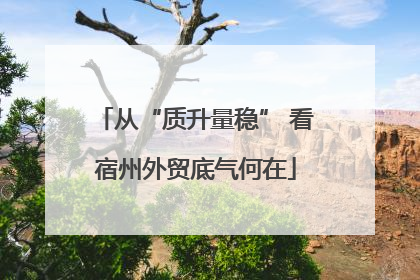 从“质升量稳” 看宿州外贸底气何在