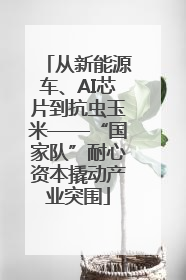 从新能源车、AI芯片到抗虫玉米——“国家队”耐心资本撬动产业突围