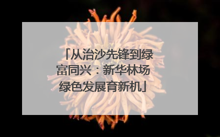 从治沙先锋到绿富同兴：新华林场绿色发展育新机