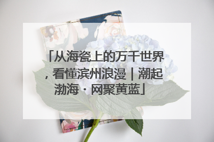 从海瓷上的万千世界，看懂滨州浪漫｜潮起渤海・网聚黄蓝