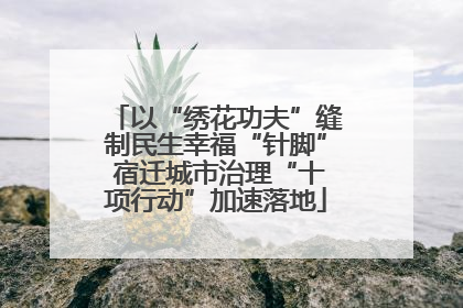 以“绣花功夫”缝制民生幸福“针脚” 宿迁城市治理“十项行动”加速落地