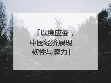 以稳应变，中国经济展现韧性与潜力