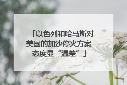 以色列和哈马斯对美国的加沙停火方案态度显“温差”