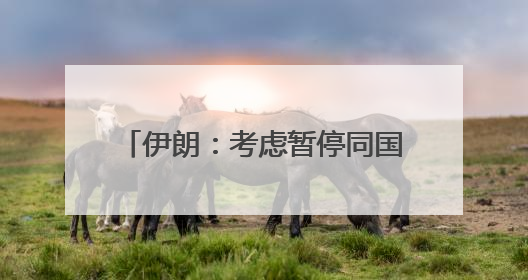 伊朗：考虑暂停同国际原子能机构合作