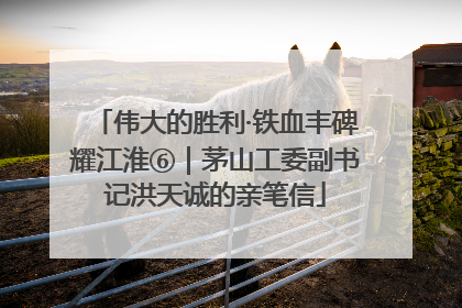 伟大的胜利·铁血丰碑耀江淮⑥｜茅山工委副书记洪天诚的亲笔信