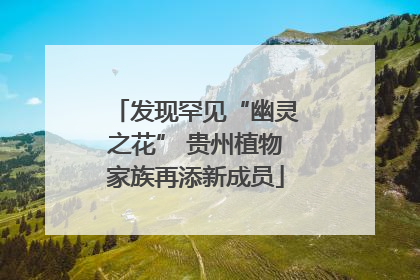 发现罕见“幽灵之花” 贵州植物家族再添新成员