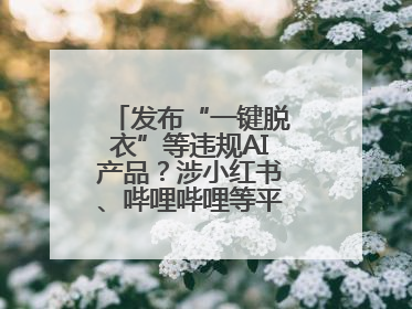 发布“一键脱衣”等违规AI产品？涉小红书、哔哩哔哩等平台！上海出手