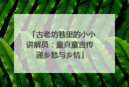 古老坊巷里的小小讲解员：童真童言传递乡愁与乡情
