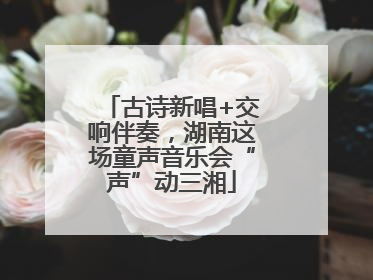 古诗新唱+交响伴奏，湖南这场童声音乐会“声”动三湘