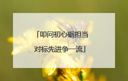 叩问初心砺担当 对标先进争一流