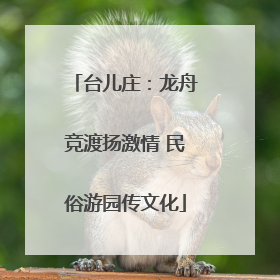 台儿庄：龙舟竞渡扬激情 民俗游园传文化