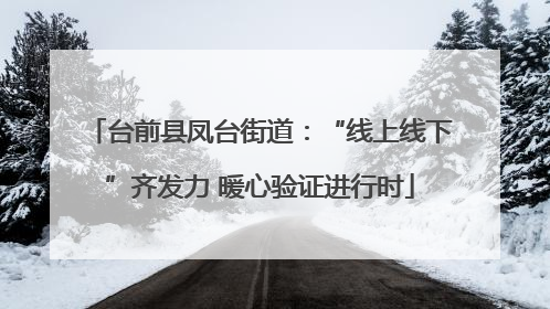 台前县凤台街道：“线上线下”齐发力 暖心验证进行时