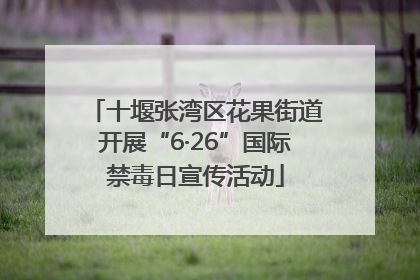 十堰张湾区花果街道开展“6·26”国际禁毒日宣传活动