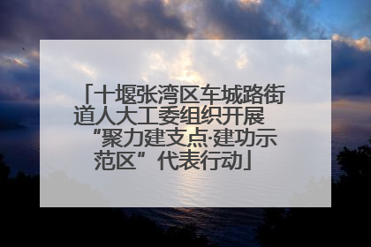 十堰张湾区车城路街道人大工委组织开展 “聚力建支点·建功示范区”代表行动