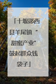 十堰郧西县羊尾镇“甜蜜产业”鼓起群众钱袋子