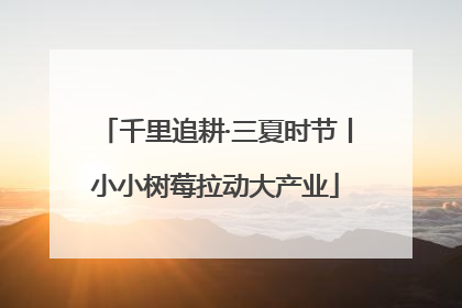 千里追耕·三夏时节丨小小树莓拉动大产业