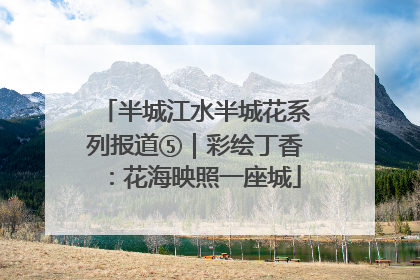 半城江水半城花系列报道⑤｜彩绘丁香：花海映照一座城