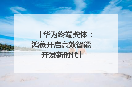 华为终端龚体：鸿蒙开启高效智能开发新时代