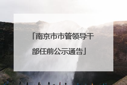 南京市市管领导干部任前公示通告