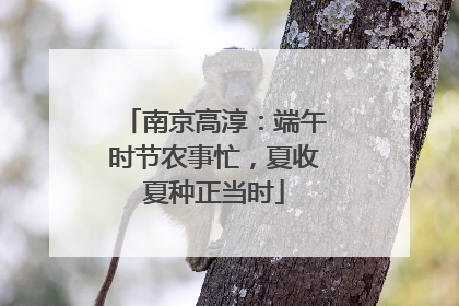 南京高淳：端午时节农事忙，夏收夏种正当时