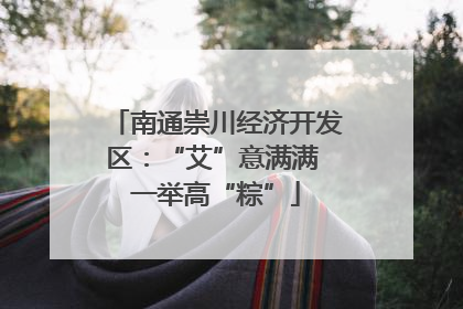 南通崇川经济开发区：“艾”意满满 一举高“粽”