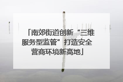 南郊街道创新“三维服务型监管”打造安全营商环境新高地