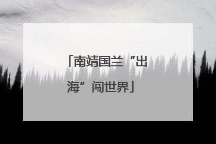 南靖国兰“出海”闯世界